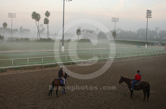 hollywoodpark04_hr