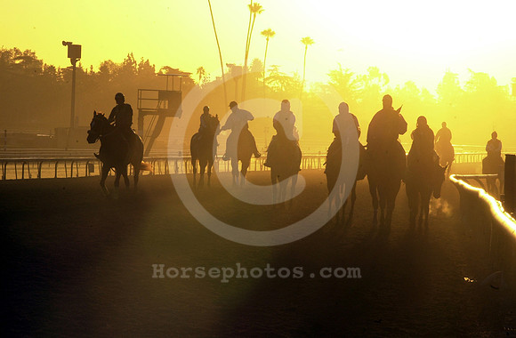 santaanita_morning01_hr