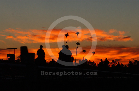 santaanitaracetrack20_hr