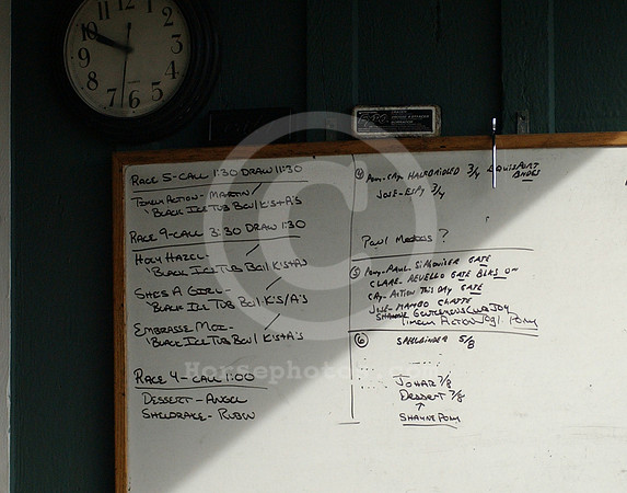 mandella_board01_hr