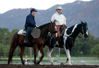 aidanobrien_dwlukas01_mjm