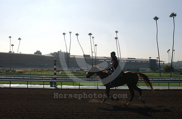 santaanitapark21_hr