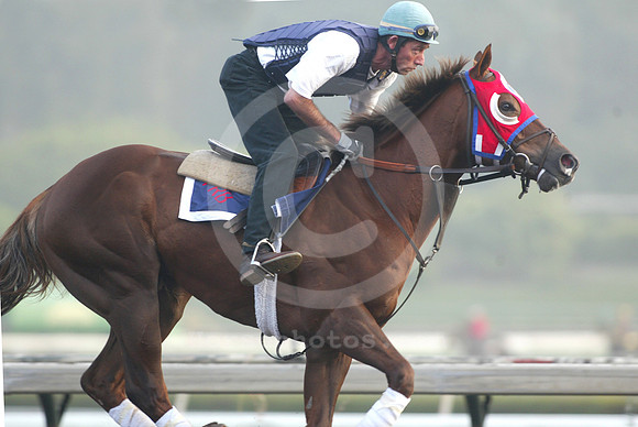 capitano02_mjm