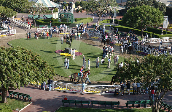 santaanita_paddock02_hr