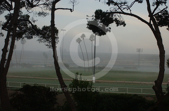 hollywoodpark01_hr