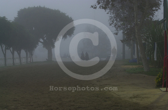 hollywoodpark05_jt