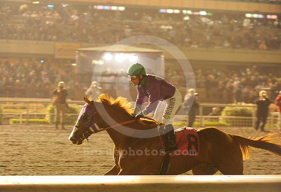hollywoodpark_californiachrome01_hr