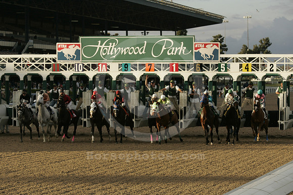hollywoodpark_start01_ae