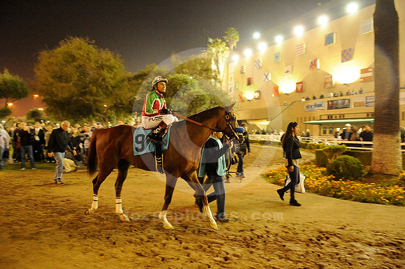 hollywoodpark_danderek01_hr