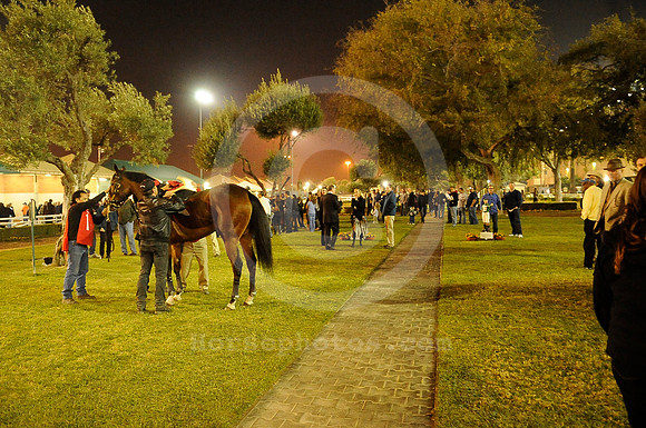 hollywoodpark_paddock23_hr