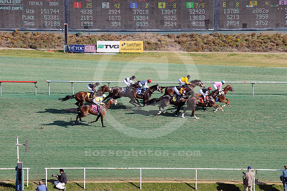hollywoodpark_racingaction01_hr