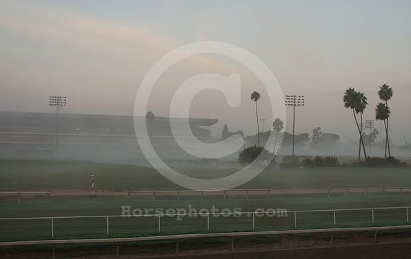 hollywoodpark02_hr
