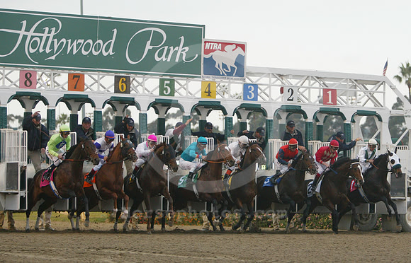 hollywoodfuturity01_mjm