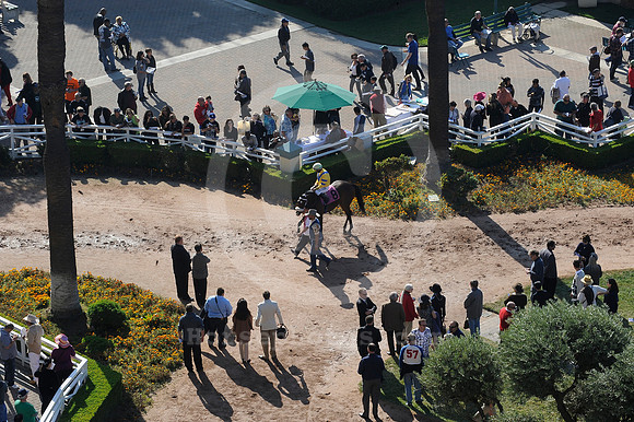 hollywoodpark_paddock18_hr