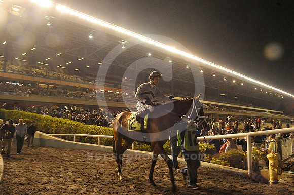 hollywoodpark_insideondoutside01_hr