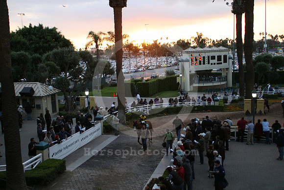 hollywoodpark_paddock12_cg