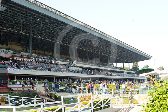hollywoodpark_grandstand13_hr