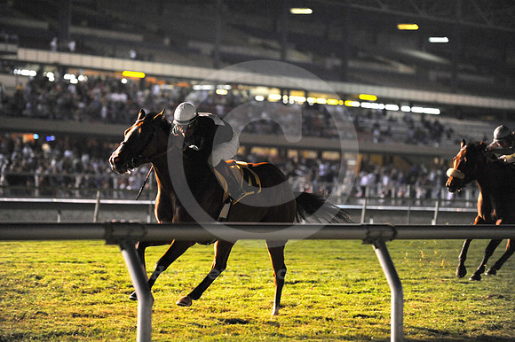 hollywoodpark_nightturfracing_jn