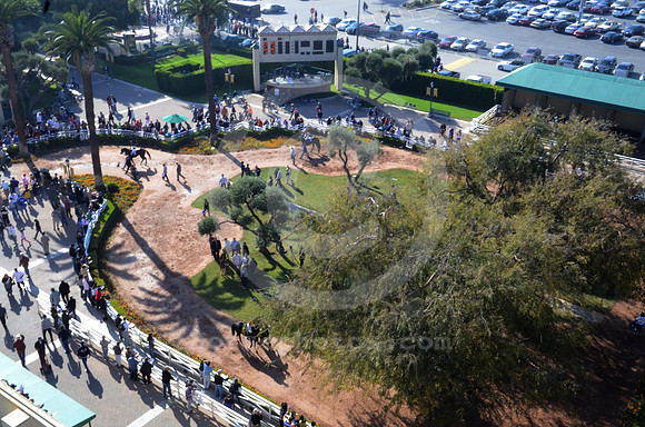 hollywoodpark_paddock24_hr