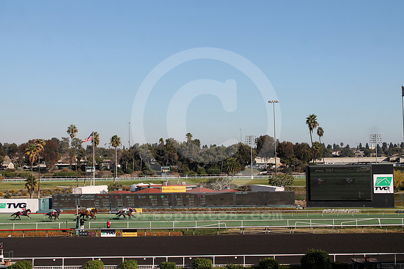hollywoodpark_racing01_cg