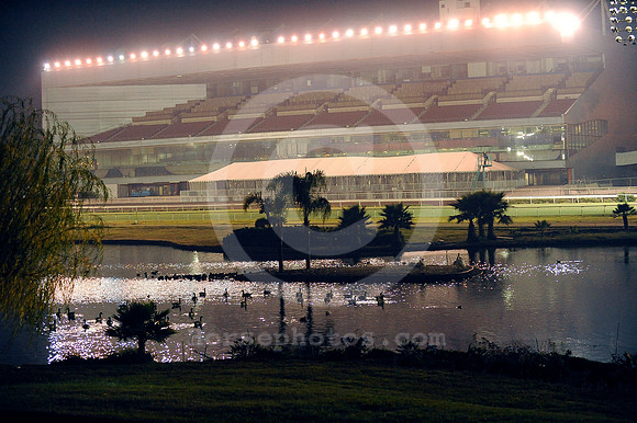 hollywoodpark_nightracing03_hr