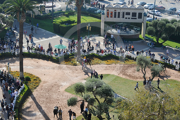 hollywoodpark_paddock15_hr