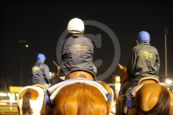 hollywoodpark_outrider02_hr