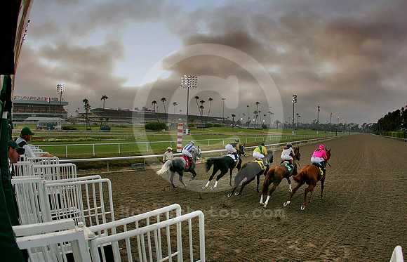 hollywoodpark_twilight02_ae