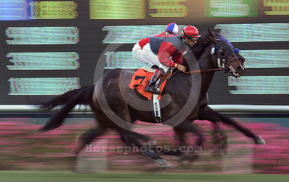 hollywoodparkturfaction04_ae