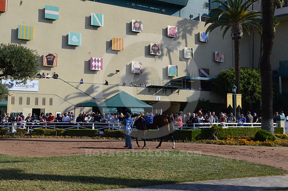 hollywoodpark_grandstand24_hr