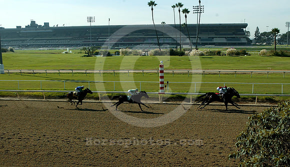 hollywoodpark02_mjm