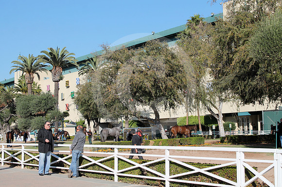 hollywoodpark_paddock05_cg