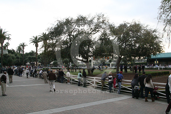hollywoodpark_paddock11_cg