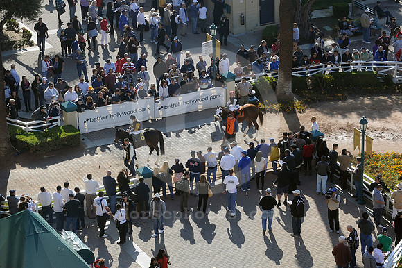 hollywoodpark_paddock20_hr