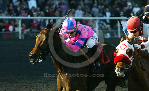 hollywoodpark_racing09_cg