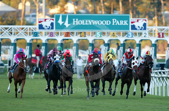 hollywoodderby01_mjm
