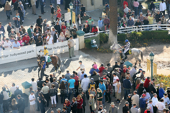 hollywoodpark_paddock14_cg