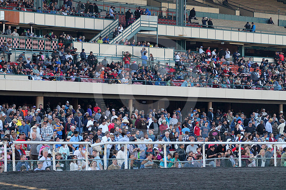 hollywoodpark_crowd01_cg