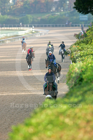 hollywoodparkpolytrack03_ae