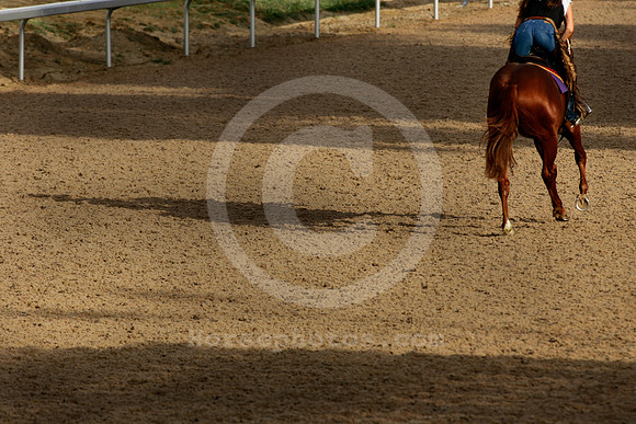 hollywoodparkpolytrack05_ae