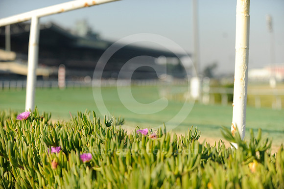 hollywoodpark_grandstand11_hr