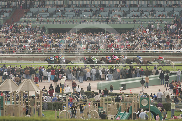 hollywoodpark_ae