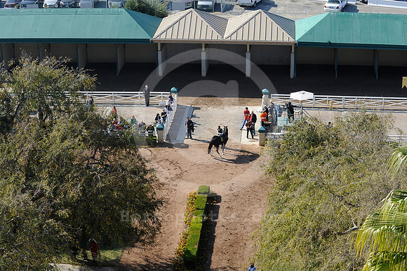 hollywoodpark_paddock21_hr