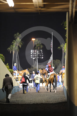 hollywoodnightracing02_jn
