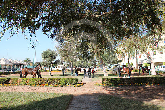 hollywoodpark_paddock06_cg