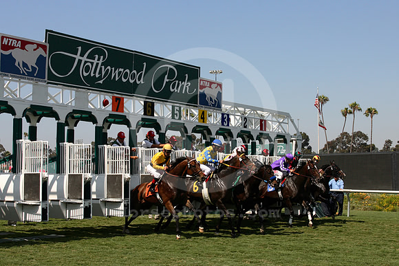 hollywoodpark01_cp
