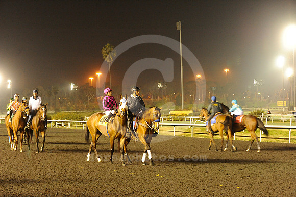 hollywoodpark_grandstand17_hr
