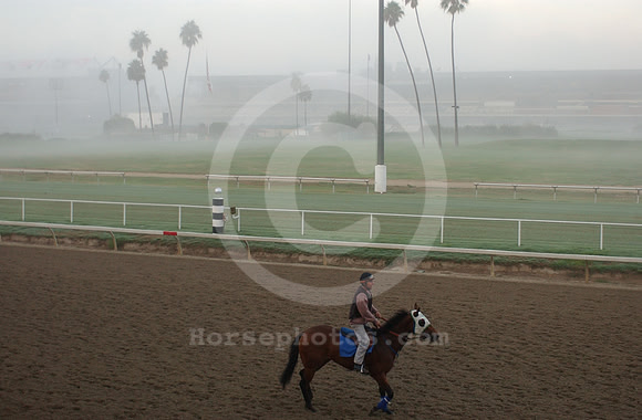 hollywoodpark03_hr