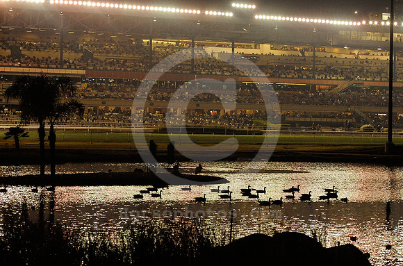 hollywoodpark_nightracing01_hr