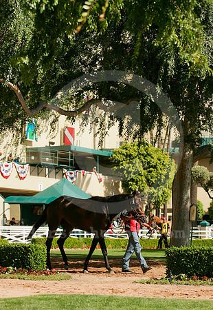 hollywoodparkpaddock01_ae